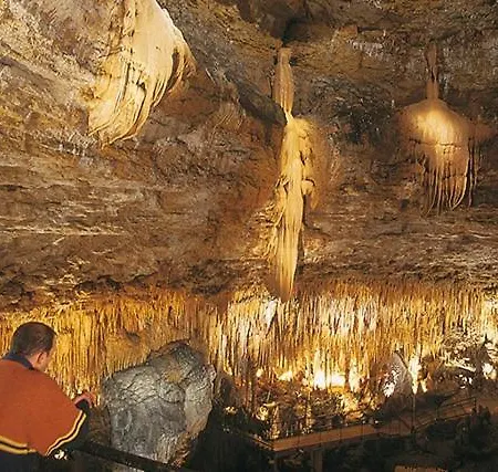 Sur La Cave *